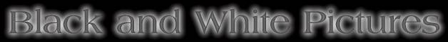 b_w_pics.jpg (5991 bytes)